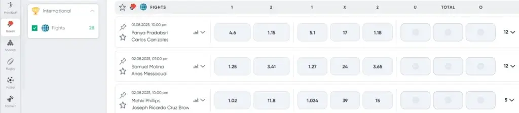 Einblick in die Boxen Wetten beim Wettanbieter Ivibet