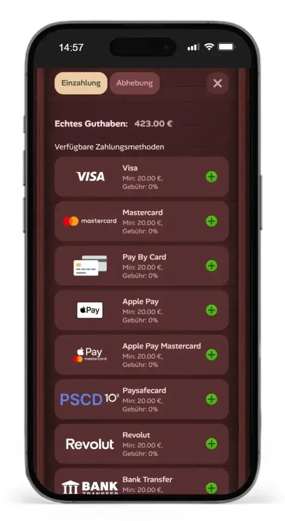 Verfuegbare Zahlungsmethoden fuer Sportwetten beim Wettanbieter Roostino